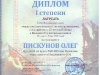 Студенческий Диплом - Пискунов Олег - 2010